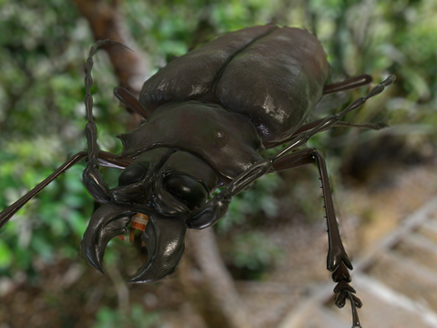  泰坦巨天牛3d模型 