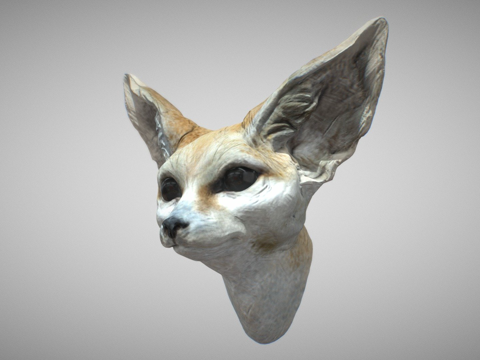  耳廓狐3d模型 