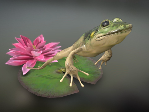 跳跃青蛙3d模型 