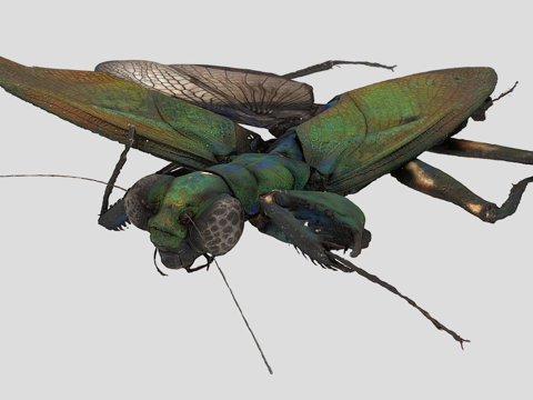  华丽金属螳3d模型 