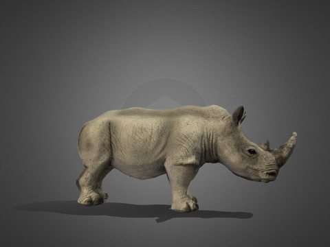  犀牛3d模型 
