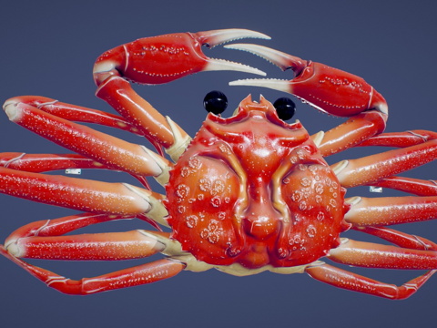  游戏就绪日本招牌套装螃蟹招牌板3d模型 