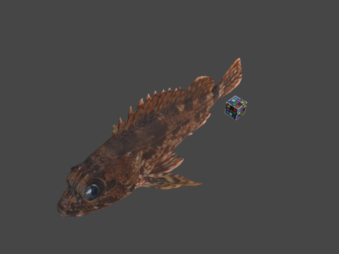  CC0鲉鱼伪海藻鱼云纹鲉3d模型 