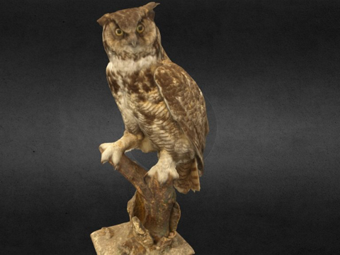  大雕鸮带声音约翰菲诺牛化3d模型 