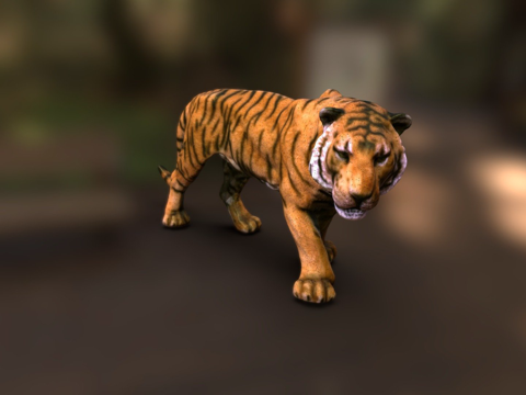  老虎纹理测试3d模型 