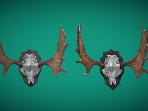  驼鹿角高低多边形扫描3d模型 