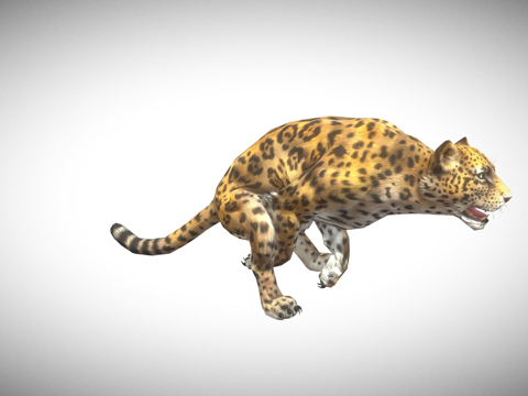  美洲豹3d模型 