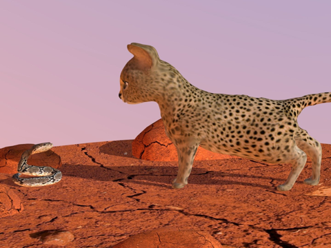  幼豹动画3d模型 