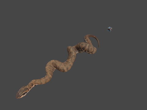  CC0日本蝮蛇日本蝮蛇G.blomhoffii3d模型 