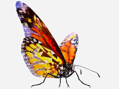  蝴蝶橙色低多边形艺术昆虫3d模型 