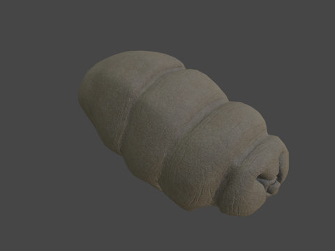  水熊虫缓步动物3d模型 