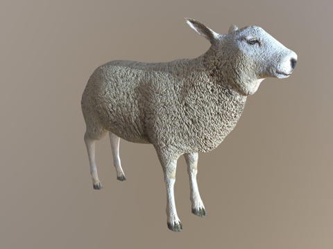  绵羊3d模型 