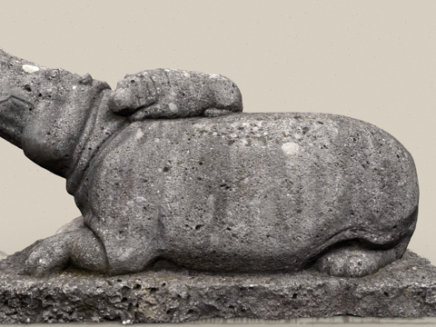  河马与幼崽3d模型 