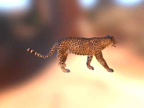  美洲豹3d模型 
