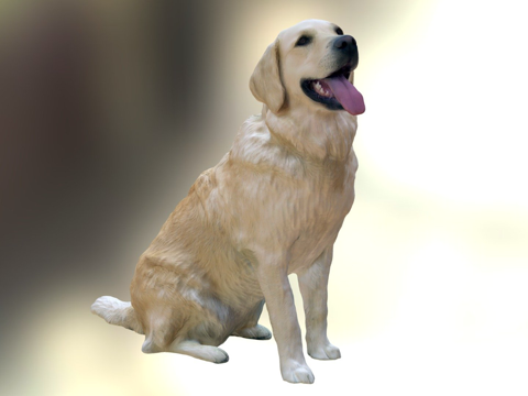  金屋的艾拉3d模型 