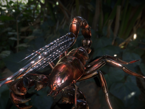  射击蝎子3d模型 