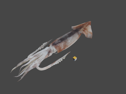  函馆未来馆3d模型 