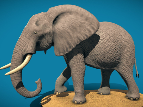  非洲丛林象3d模型 
