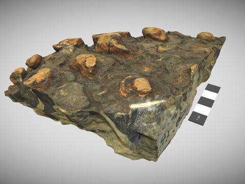  苦泉叠层石石化3d模型 