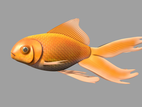 橙色鱼3d模型 