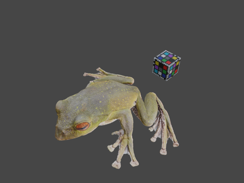  CC0 森绿树蛙3d模型 