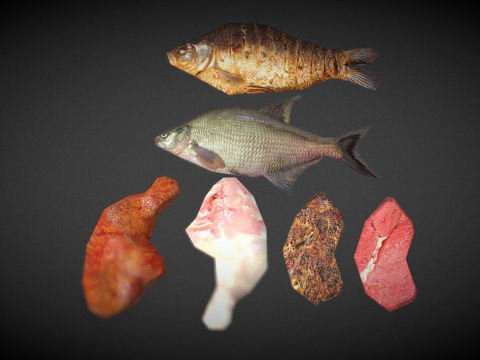  食物  鱼鸡肉三维低多边形3d模型 