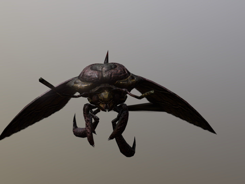  隐形黄蜂2.03d模型 