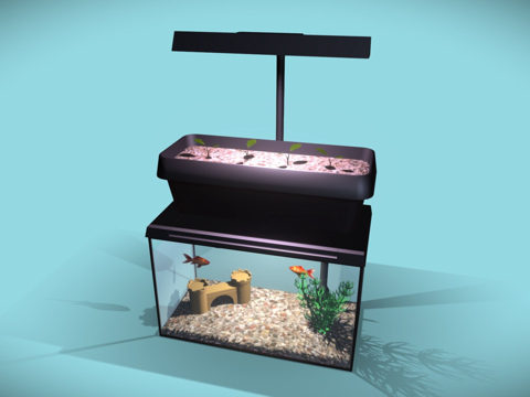  消费者鱼菜共生种植器  矩形3d模型 