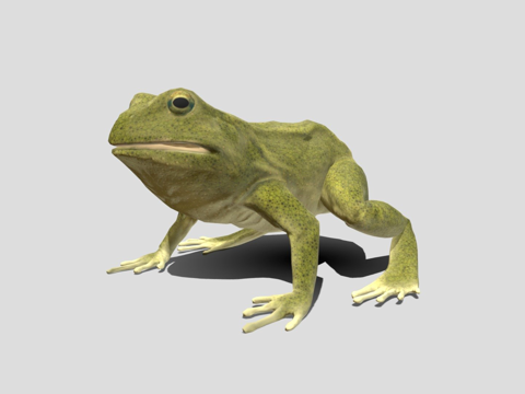  青蛙3d模型 