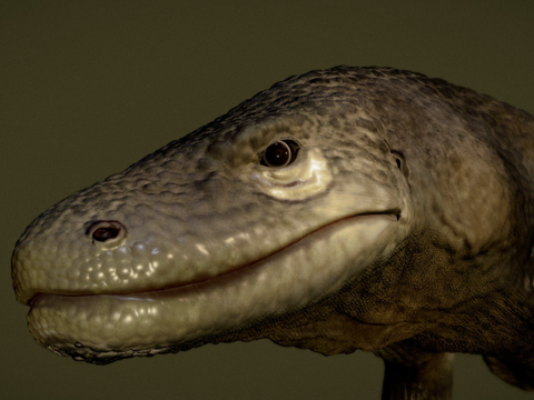  科莫多龙3d模型 