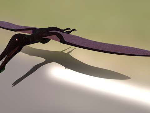  鸟掌翼龙3d模型 