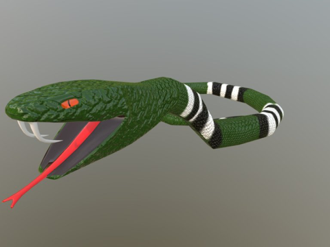  蛇CG模型3d模型 