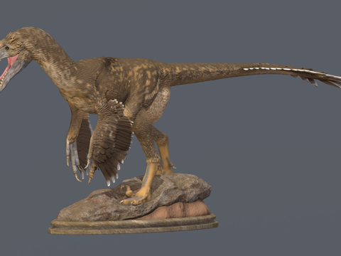  蒙古伶盗龙3d模型 