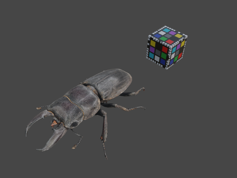  CC0 平田锹形虫  平田锹形虫泰坦巨锹甲3d模型 