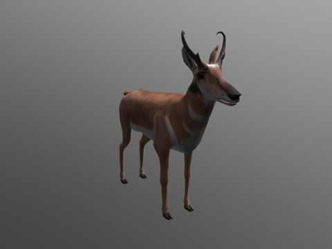  叉角羚3d模型 