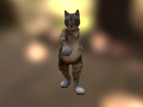  猫套装3d模型 