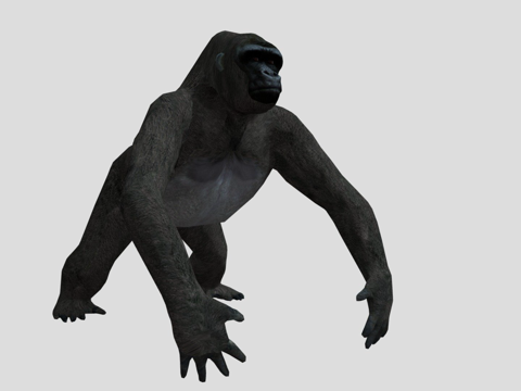 大猩猩3d模型 