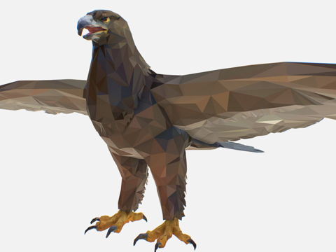  低多边形艺术鹰3d模型 