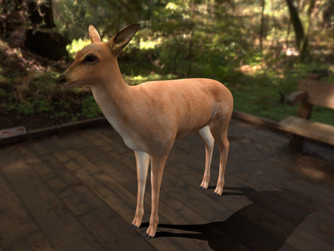  鹿三维3d模型 