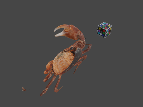  CC0 泽蟹   日本淡水蟹3d模型 