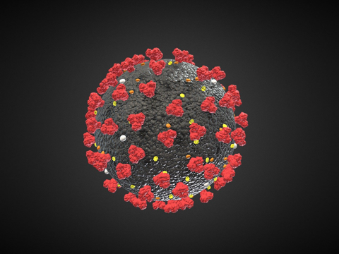  冠状病毒3d模型 