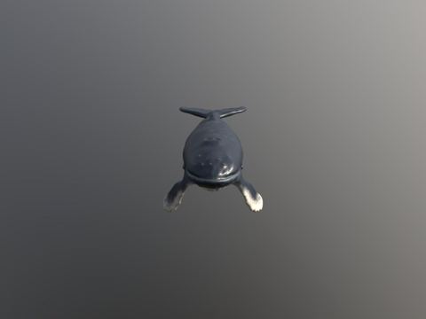  座头鲸3d模型 