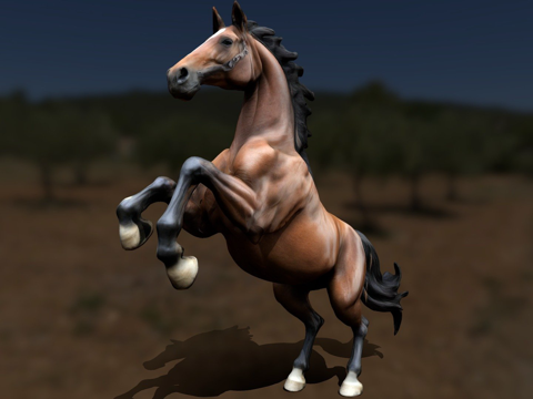  一匹马  后腿站立姿势 MESHY3d模型 