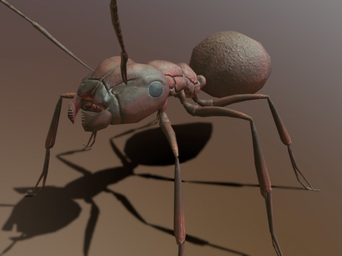  RT  蚂蚁  023d模型 