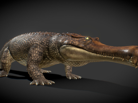  帝王鳄3d模型 