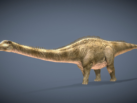  梁龙 WWD 粉丝艺术3d模型 