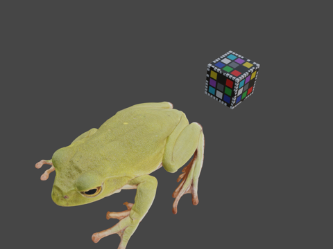  CC0 施莱格尔绿树蛙   施莱格尔绿树蛙3d模型 