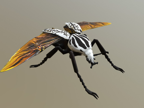  歌利亚甲虫3d模型 