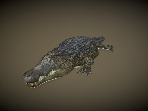  鳄鱼攻击3d模型 