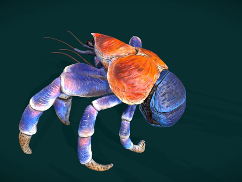  椰子蟹3d模型 